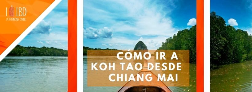 Cómo ir a Koh Tao desde Chiang Mai