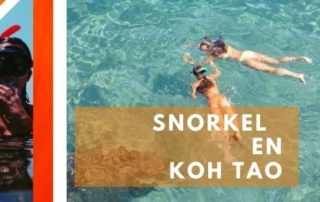 Snorkel en Koh Tao