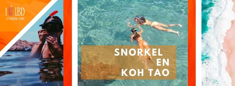 Snorkel en Koh Tao