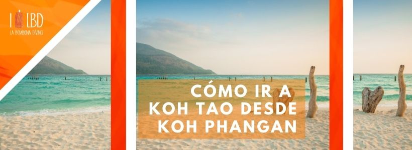 Cómo ir a Koh Tao desde Koh Phangan