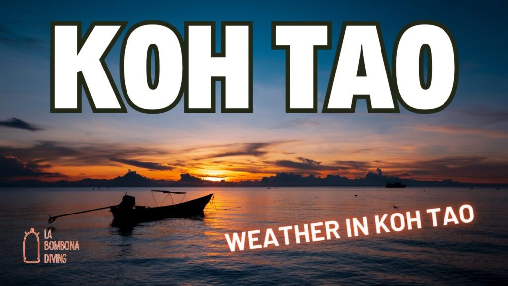 Weather in Koh Tao