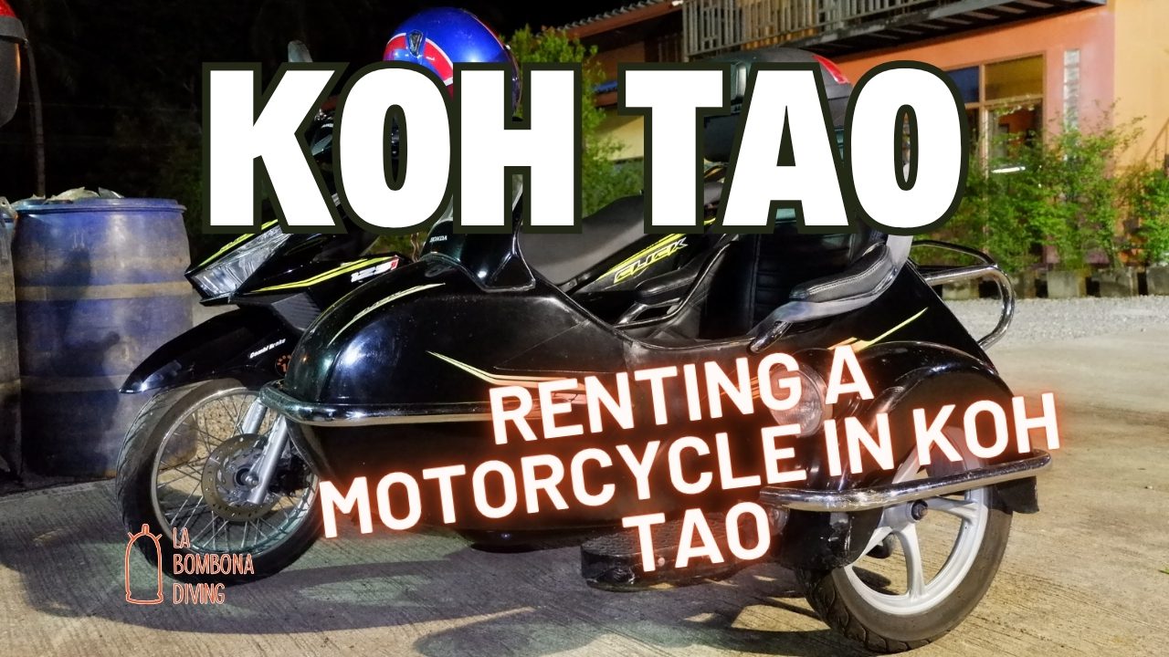 Renting a motorcycle in Koh Tao