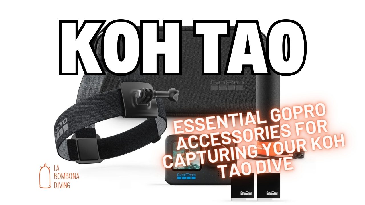 Essential GoPro Accessories for Capturing Your Koh Tao Dive