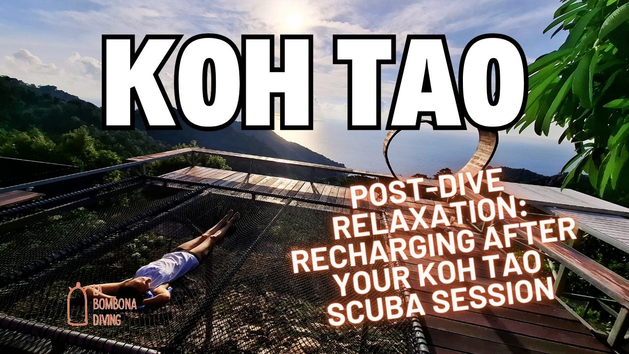 Post-Dive Relaxation: Recharging After Your Koh Tao Scuba Session
