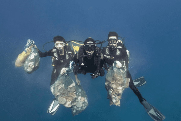 cleanup dive koh tao