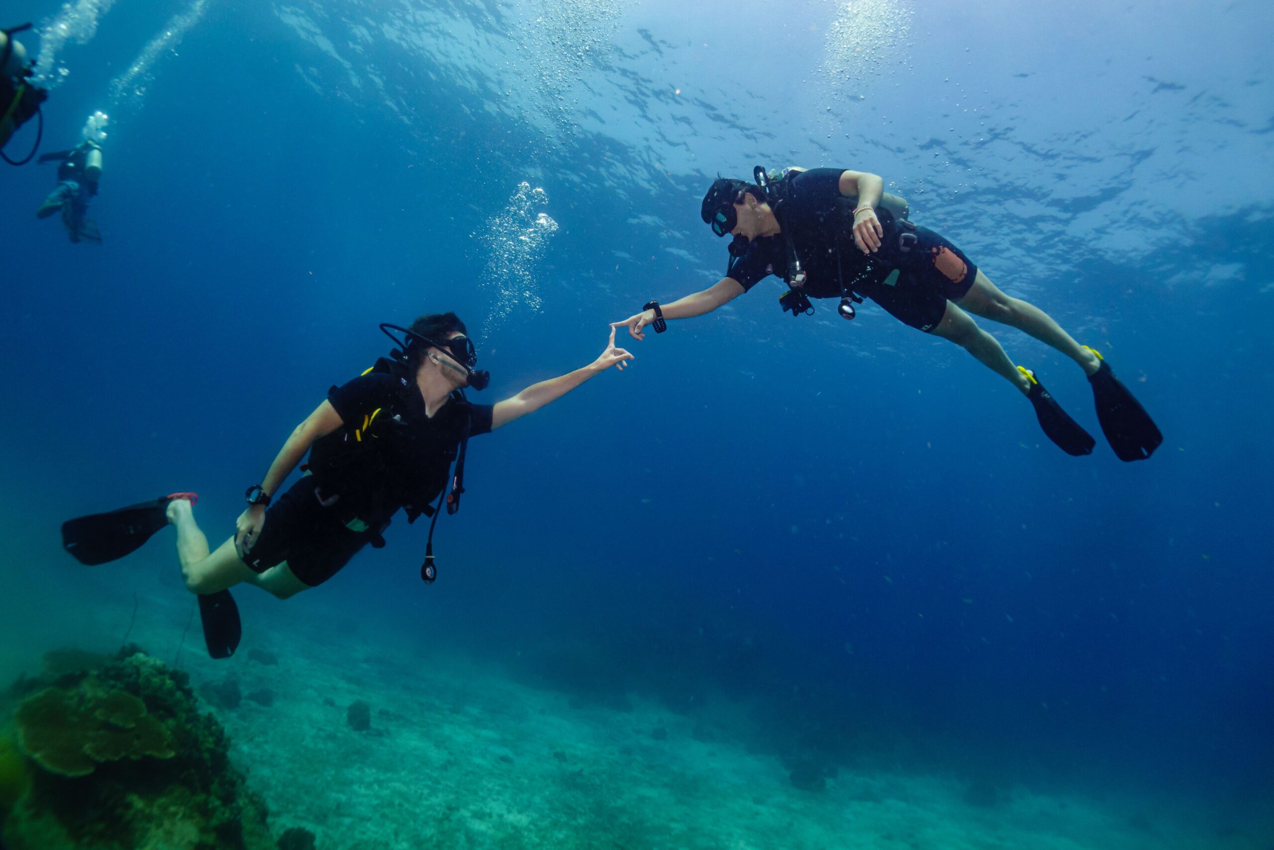 two divers touching hands