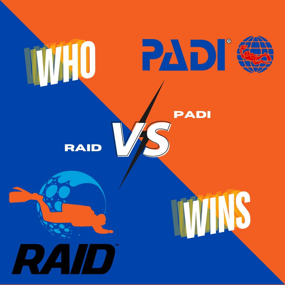 padi v raid logo graphic