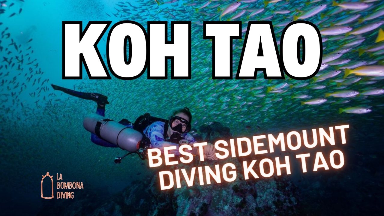 Best Sidemount Diving Koh Tao: Dive Koh Tao Confidently As A Sidemount Diver