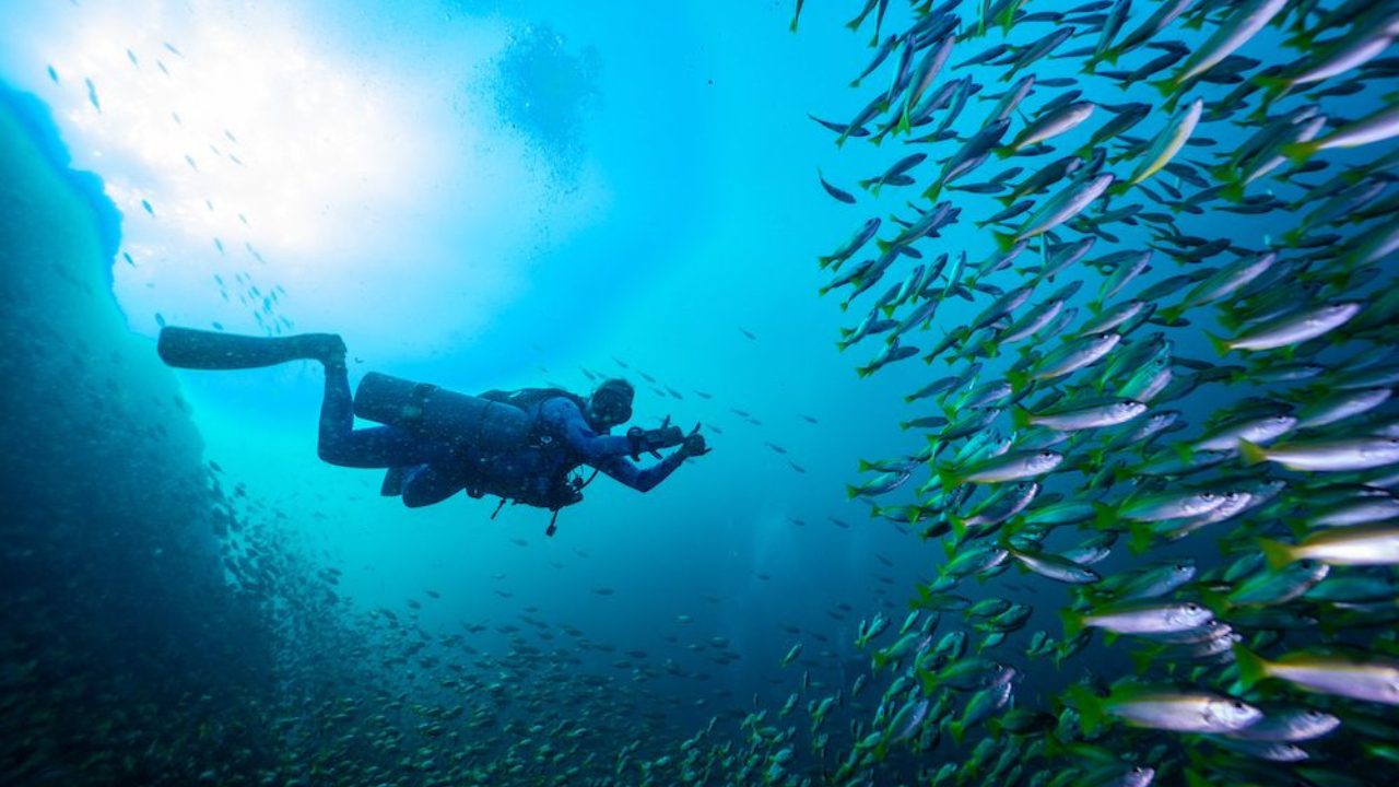 Professional sidemount diving instruction