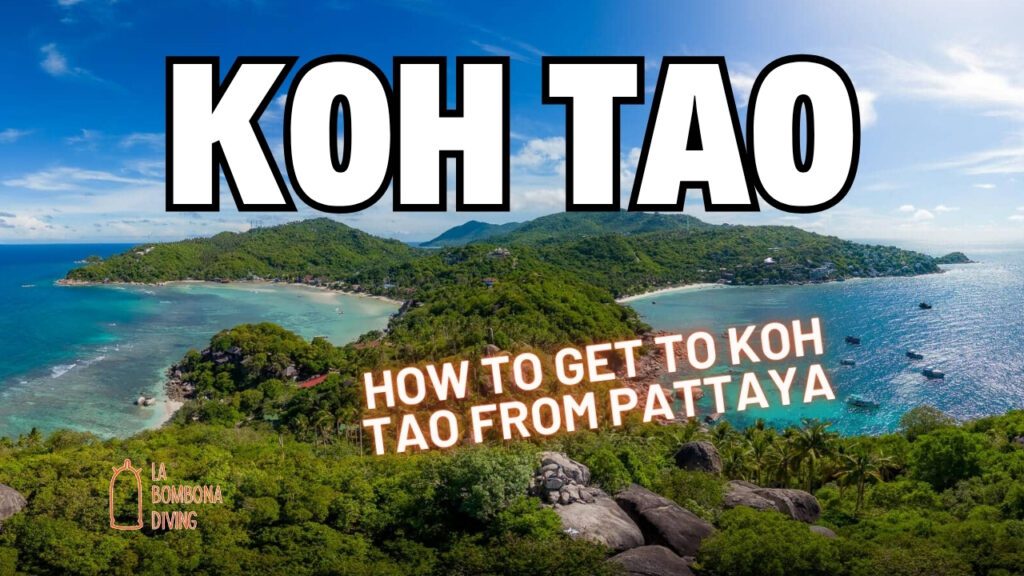 How To Get To Koh Tao From Pattaya