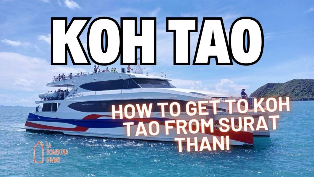 How To Get To Koh Tao From Surat Thani