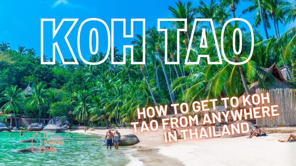How To Get To Koh Tao From Anywhere In Thailand