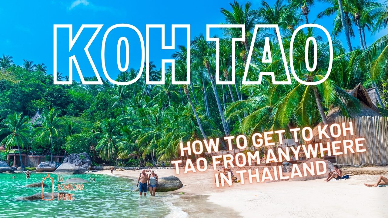 Cómo llegar a Koh Tao desde cualquier lugar de Tailandia
