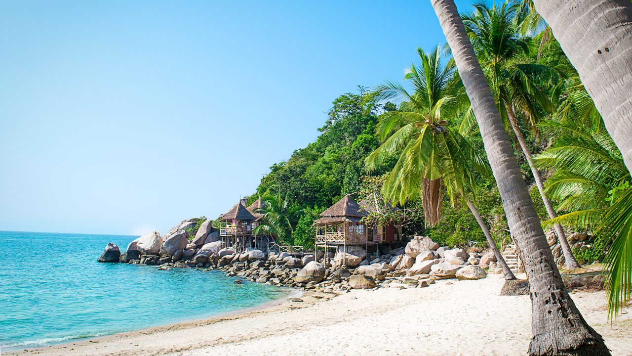 Marine life and coral reefs around Koh Tao