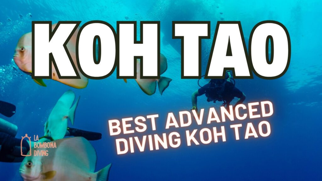 Best Advanced Diving Koh Tao