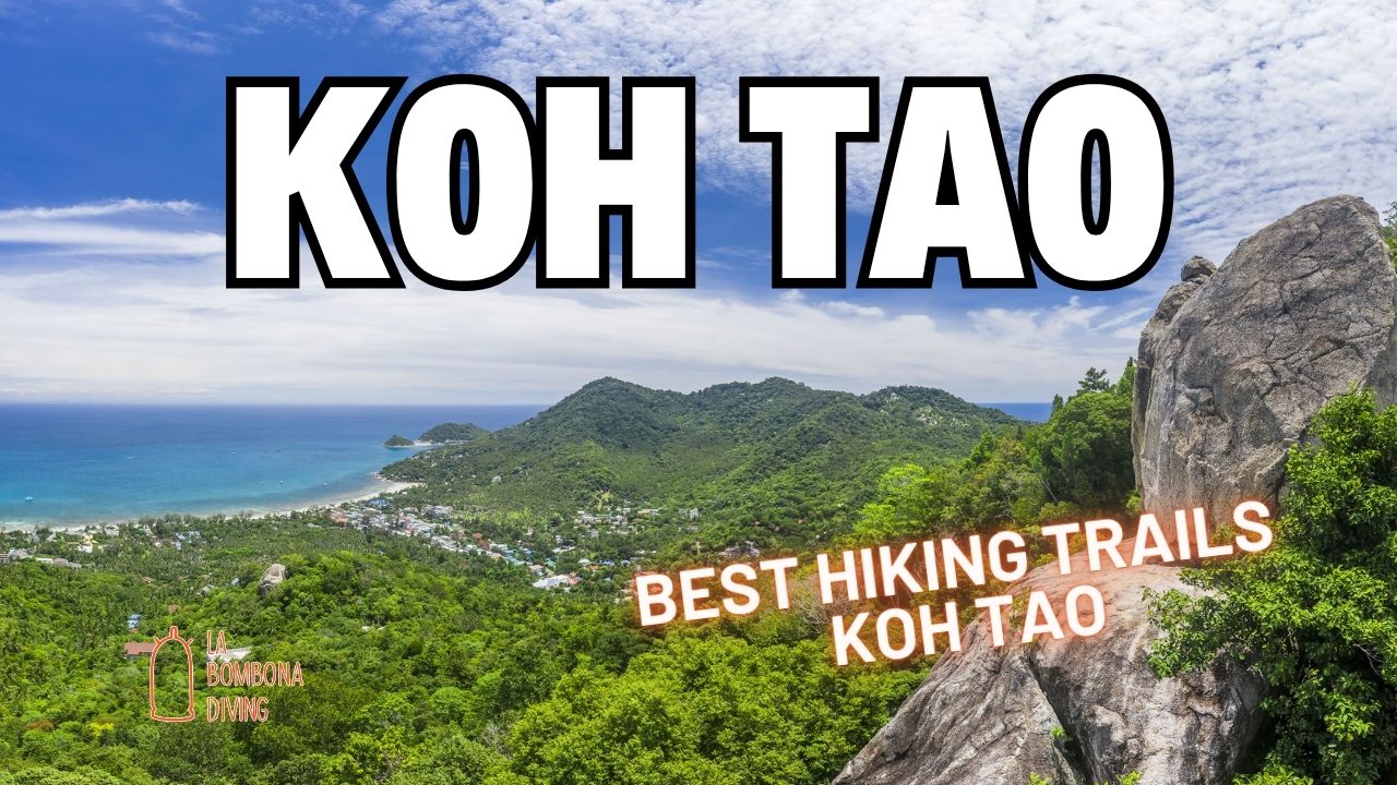 Best Hiking Trails Koh Tao