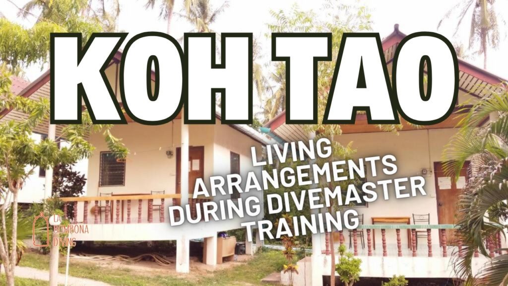 Living Arrangements During Divemaster Training