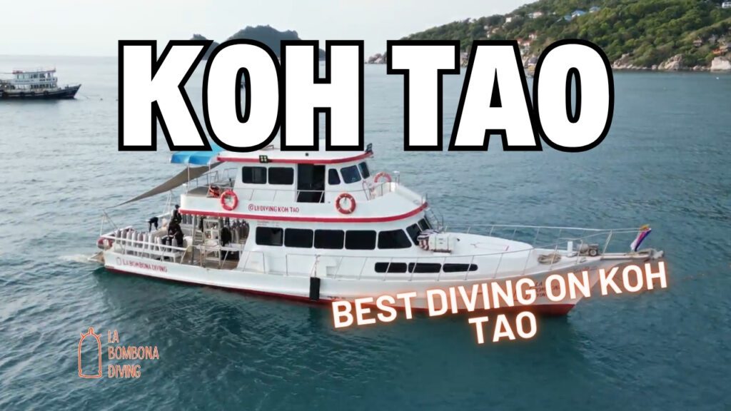 Best Diving Koh Tao