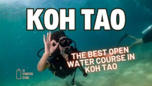 The Best Open Water Course In Koh Tao – Top 10 In Order