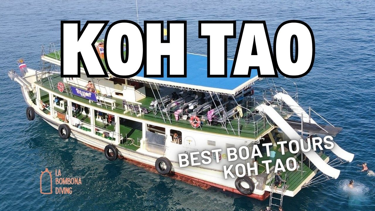 Best Boat Tours Koh Tao