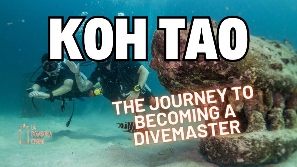 The Journey to Becoming a Divemaster: From Novice to Pro in Thailand’s Koh Tao Waters