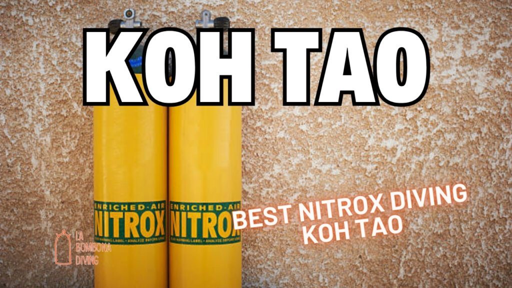 Best Nitrox Diving Koh Tao