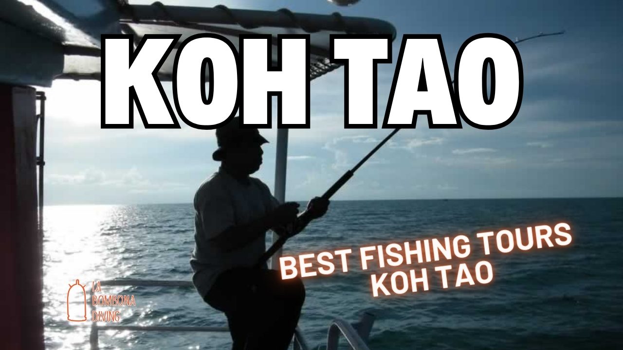 Best Fishing Tours Koh Tao