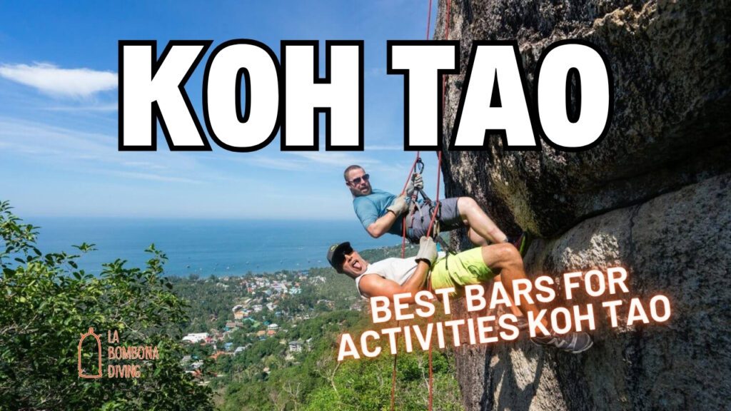 Best Bars For Activities Koh Tao