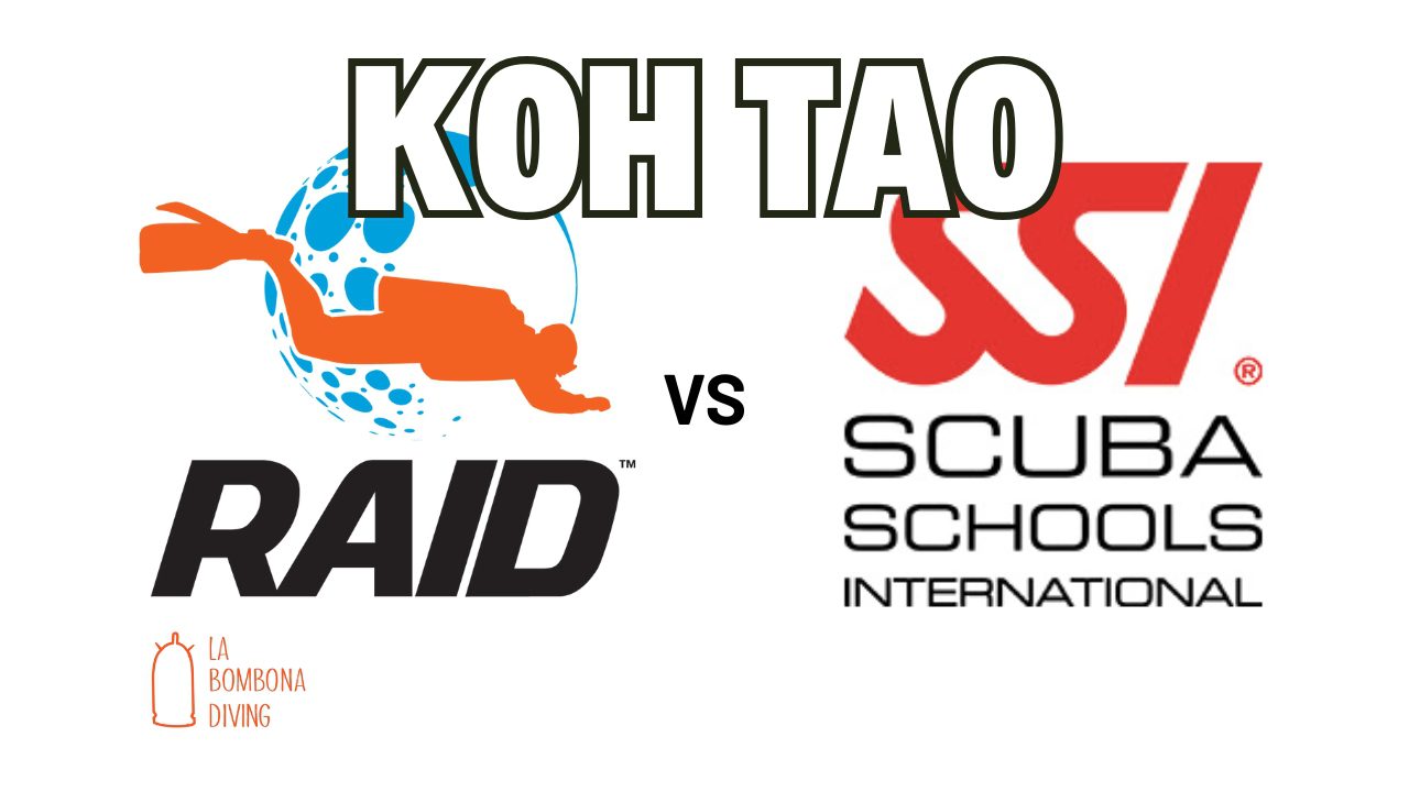 SSI Vs RAID