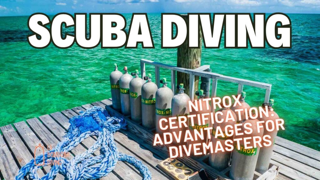Nitrox Certification: Advantages for Divemasters
