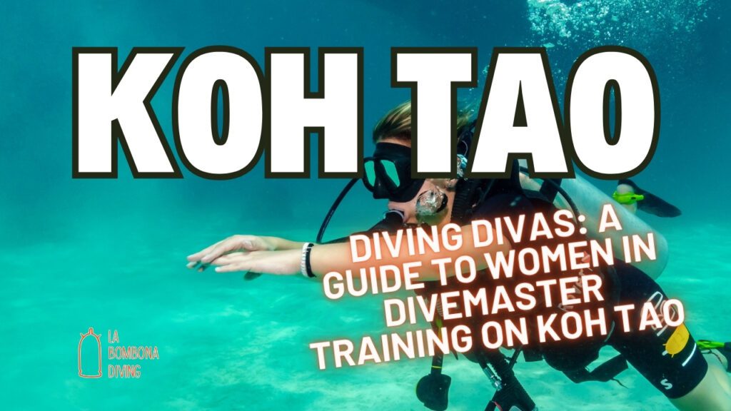 Diving Divas: A Guide to Women in Divemaster Training on Koh Tao