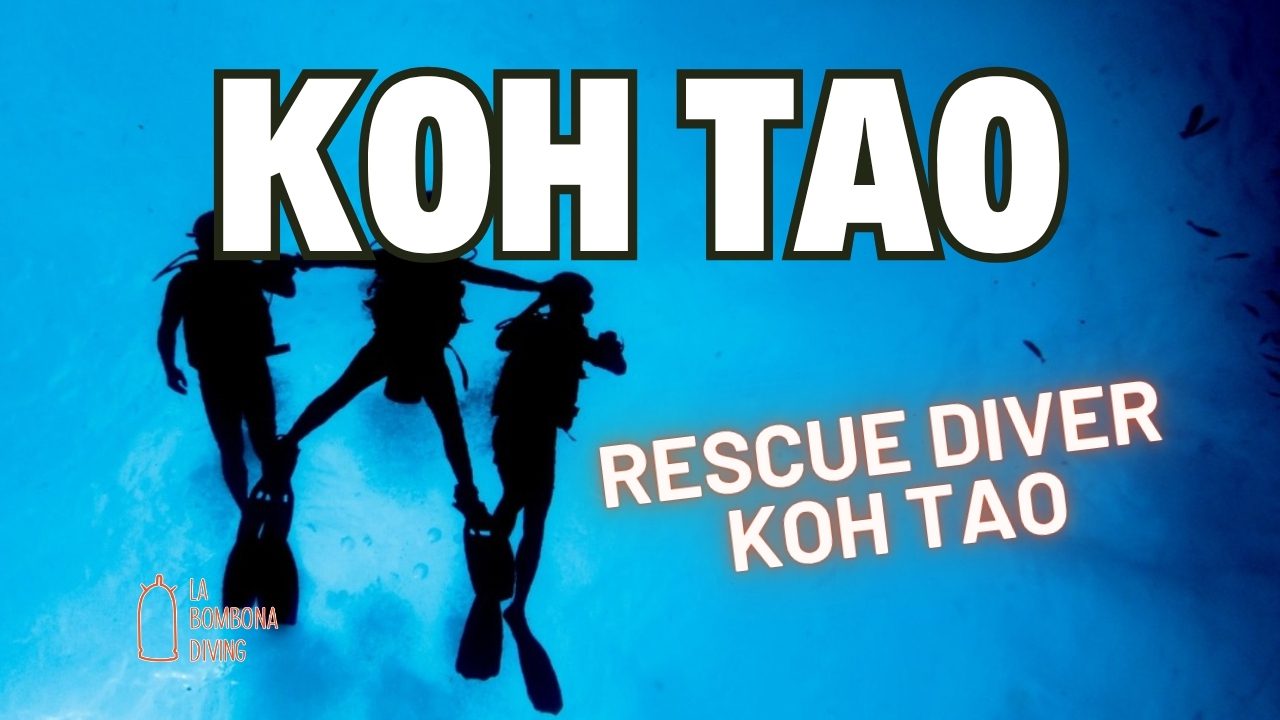 Rescue Diver Koh Tao