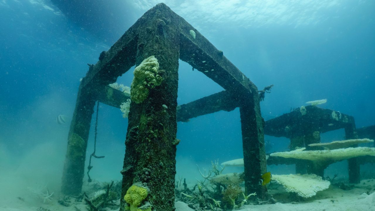 Artificial reef structures underwater
