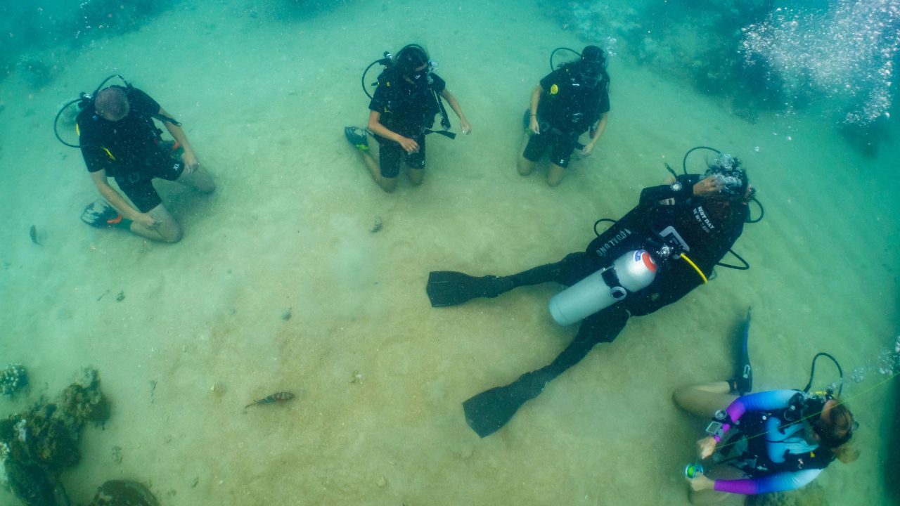 Divers practicing skills in refresher course