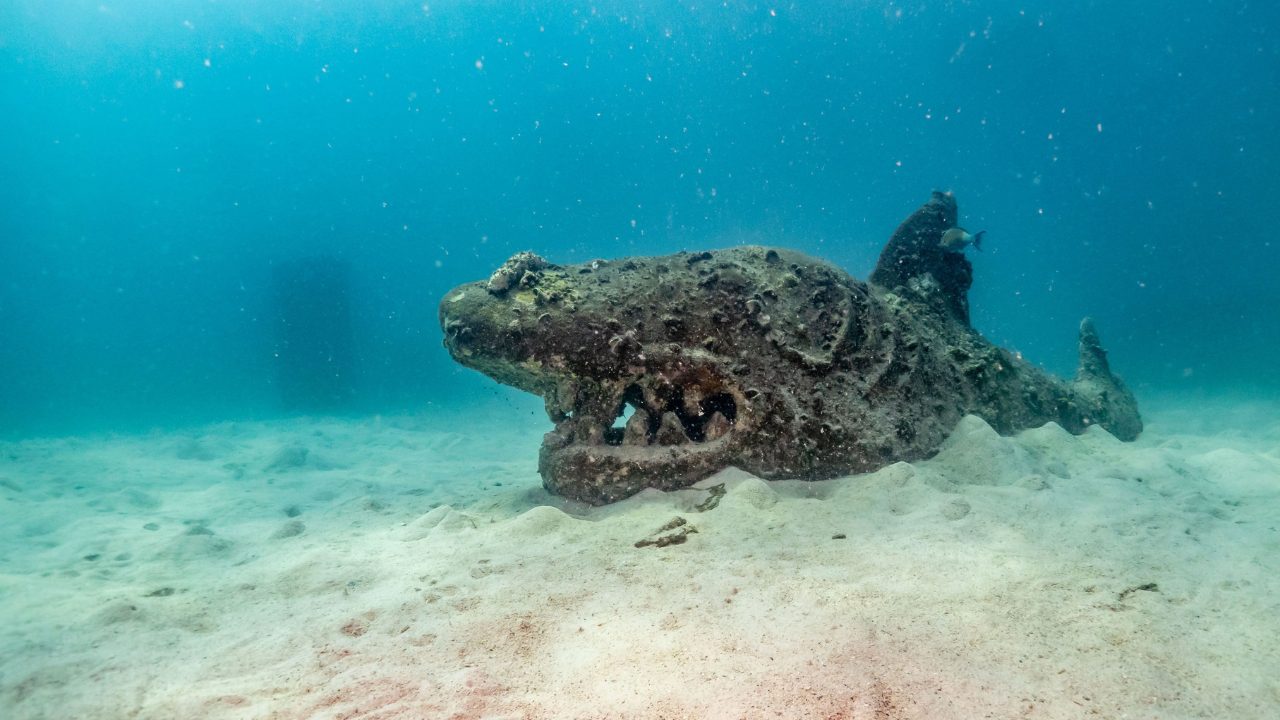 Marine conservation efforts in Koh Tao