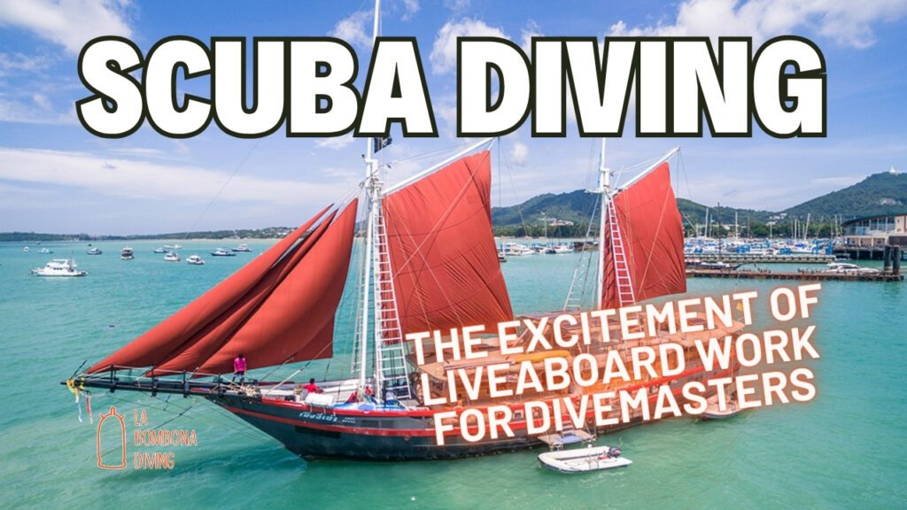 The Excitement of Liveaboard Work for Divemasters