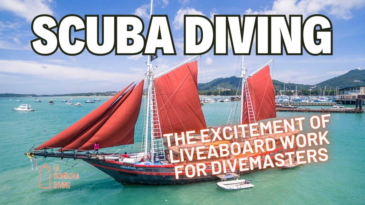 The Excitement of Liveaboard Work for Divemasters