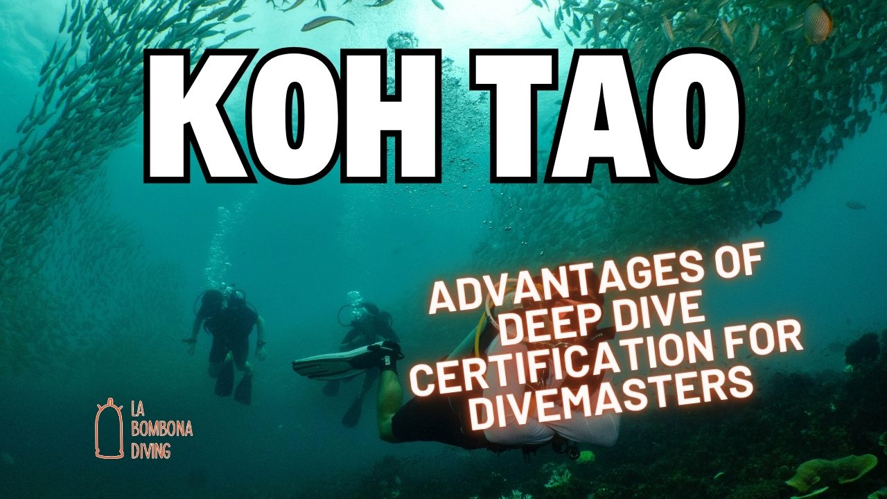 Advantages of Deep Dive Certification for Divemasters