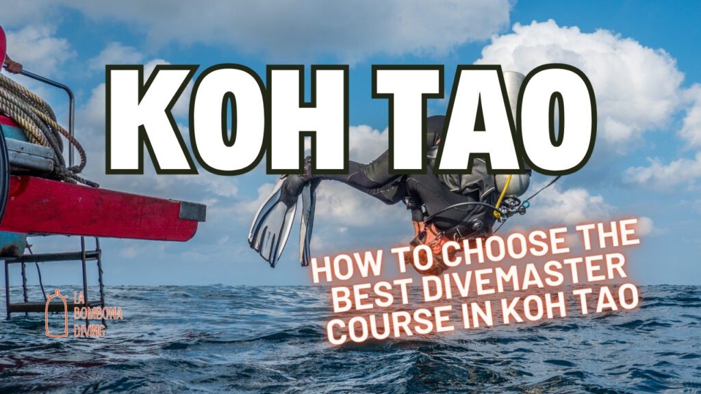 How to Choose the Best Divemaster Course in Koh Tao