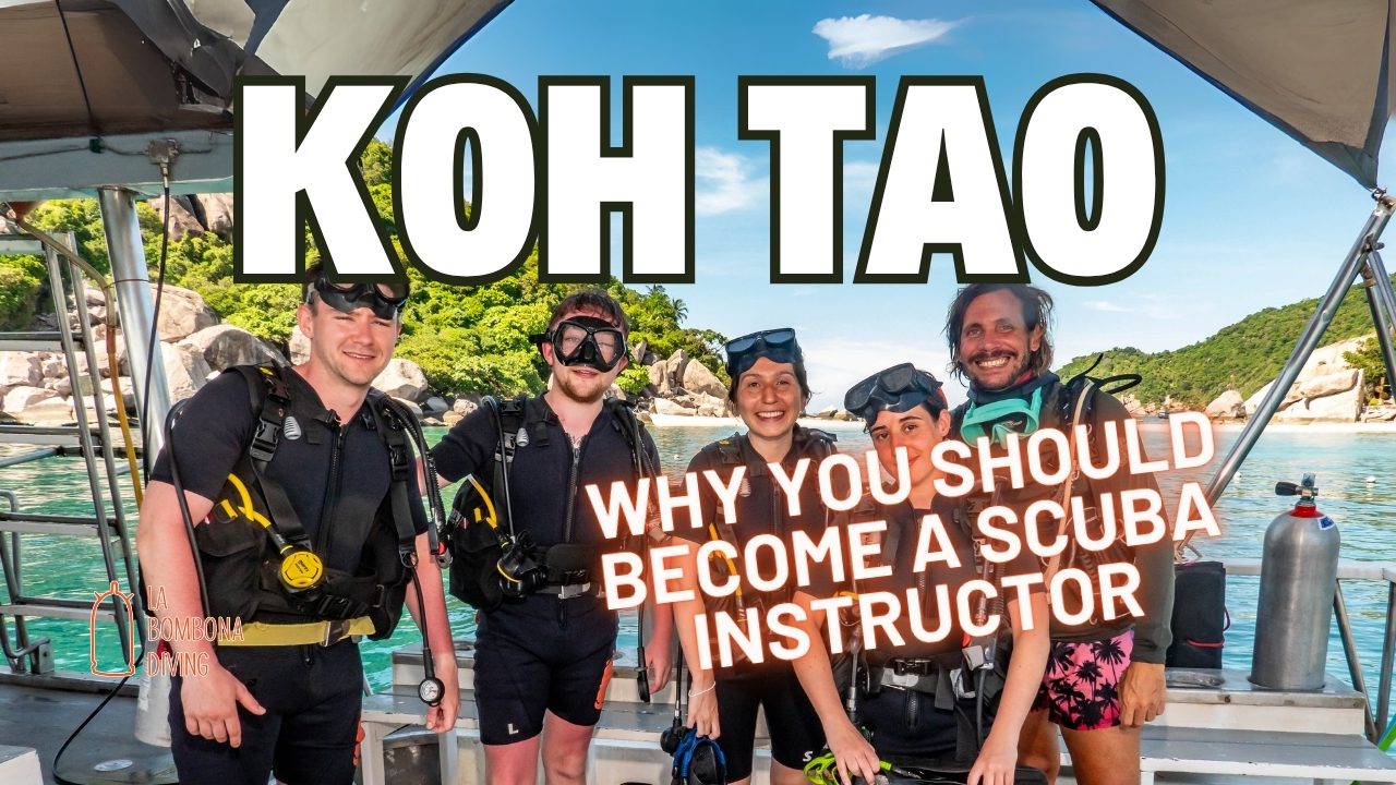 Why You Should Become A Scuba Instructor