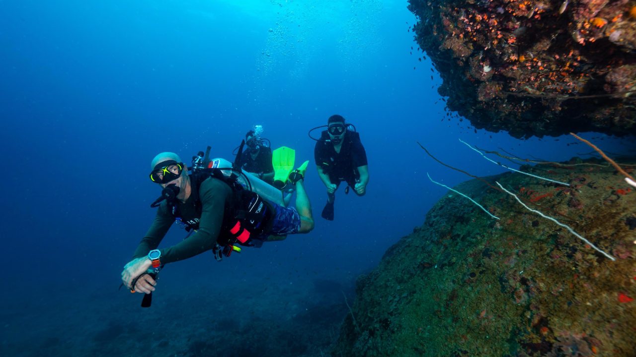 Deep water marine life and underwater environment