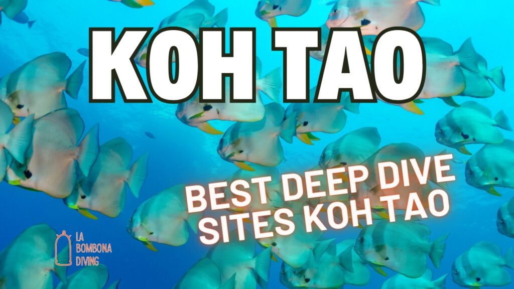 Las mejores inmersiones profundas en Koh Tao