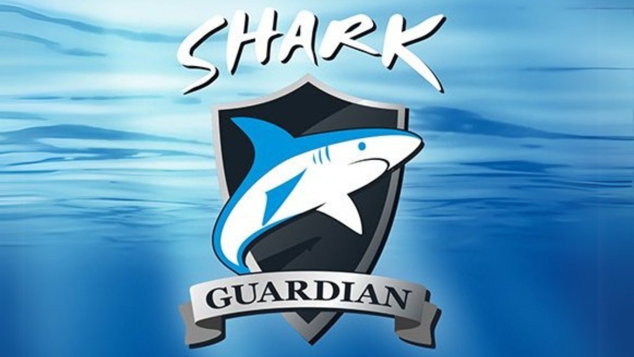 Swimmers participating in Swim For Sharks conservation event
