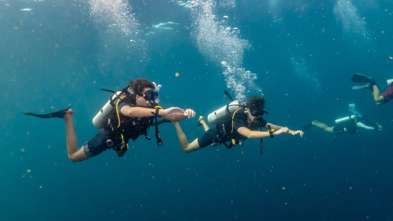 Underwater scene at one of Koh Tao's premier deep diving locations