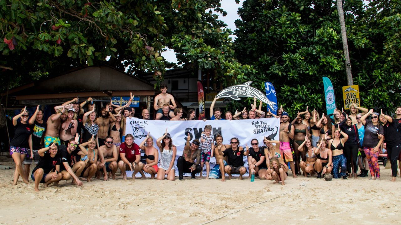 Marine conservation efforts and shark protection in Koh Tao waters