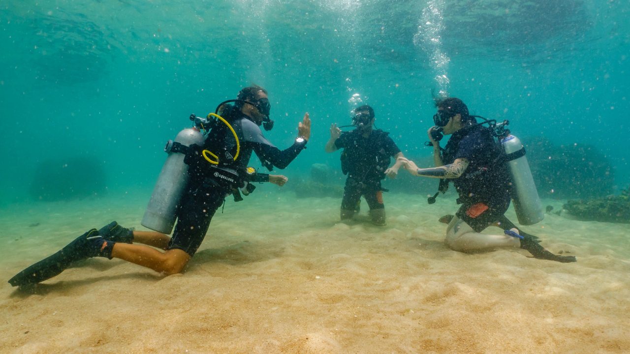 Professional diving instruction in progress