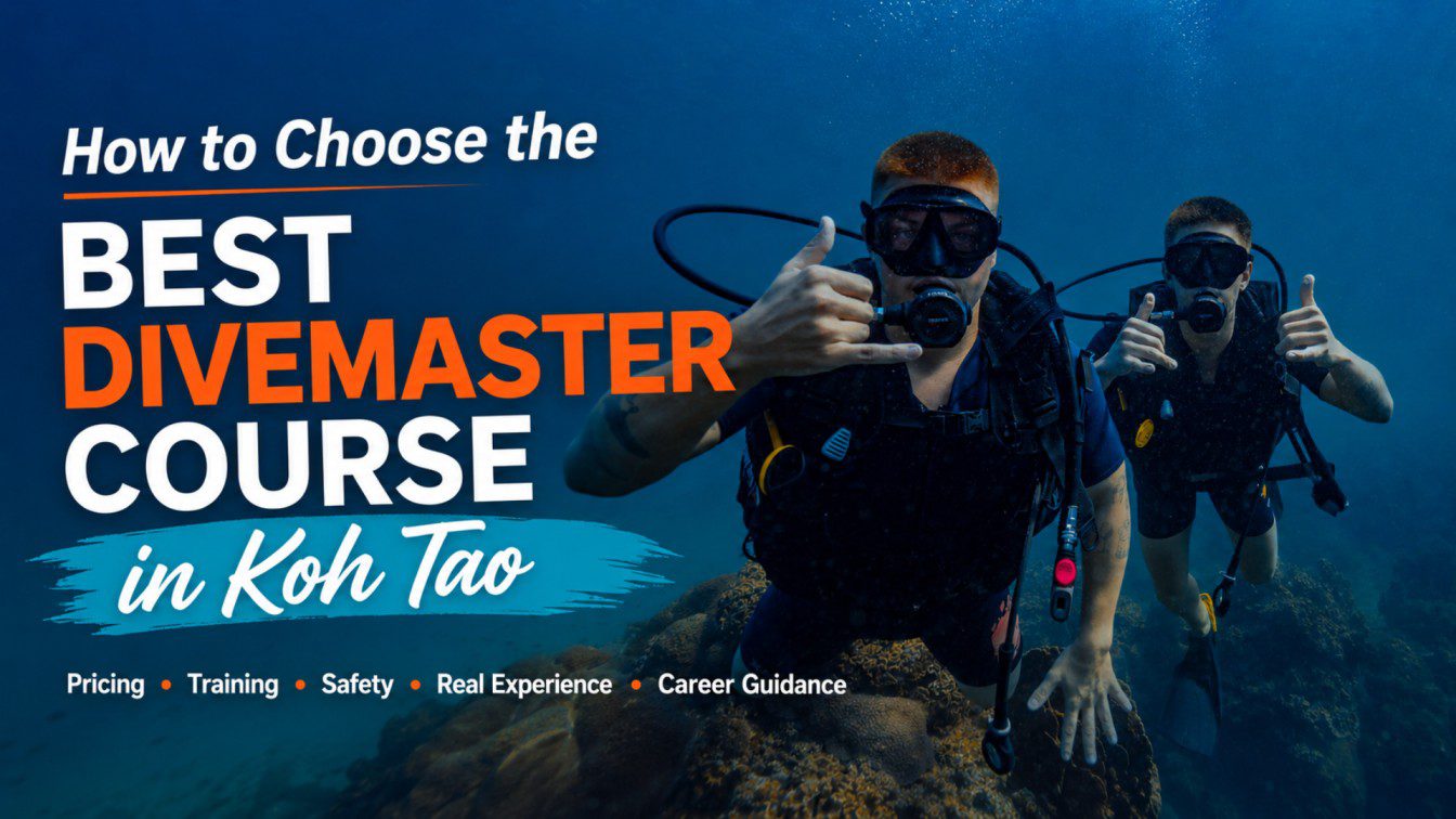 A Divemaster candidate in Koh Tao comparing scuba training options with icons for pricing, safety, certification, real course assists, mentorship, and career guidance.