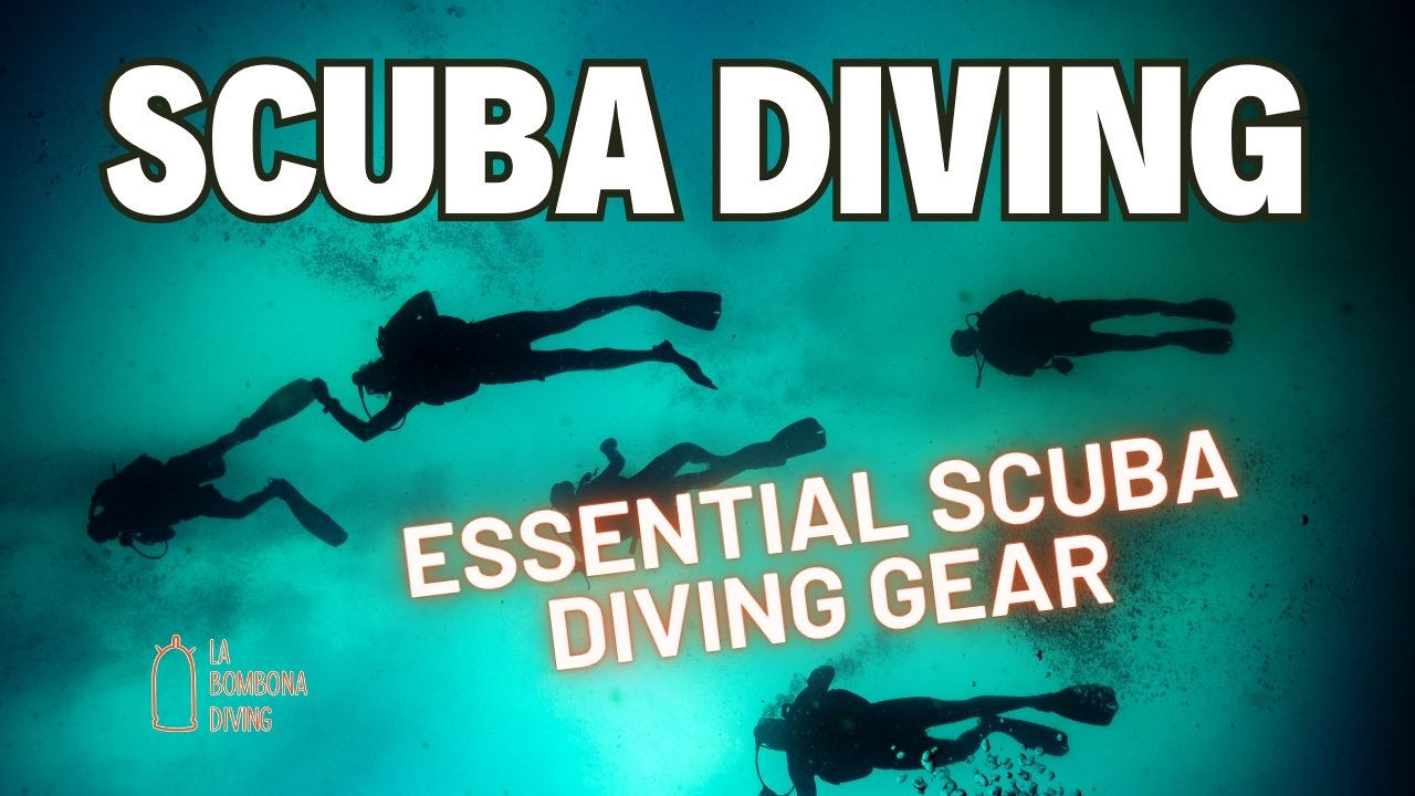 Essential Scuba Diving Gear