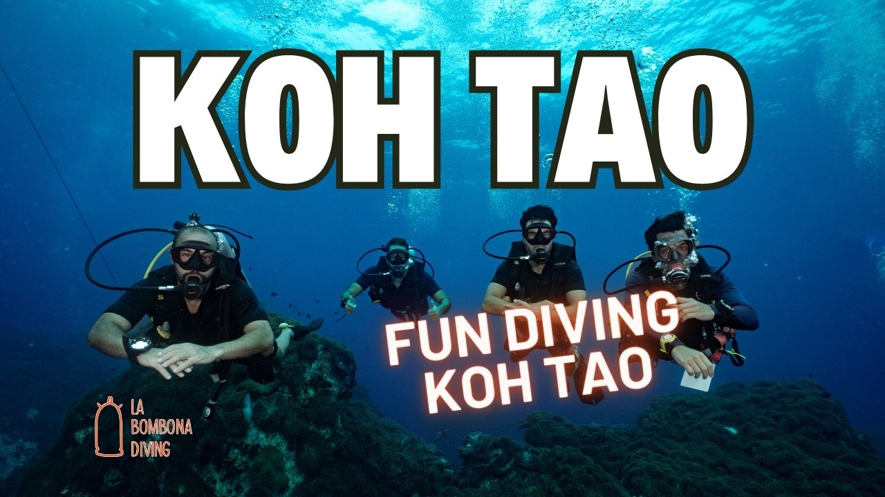 Fun Diving Koh Tao