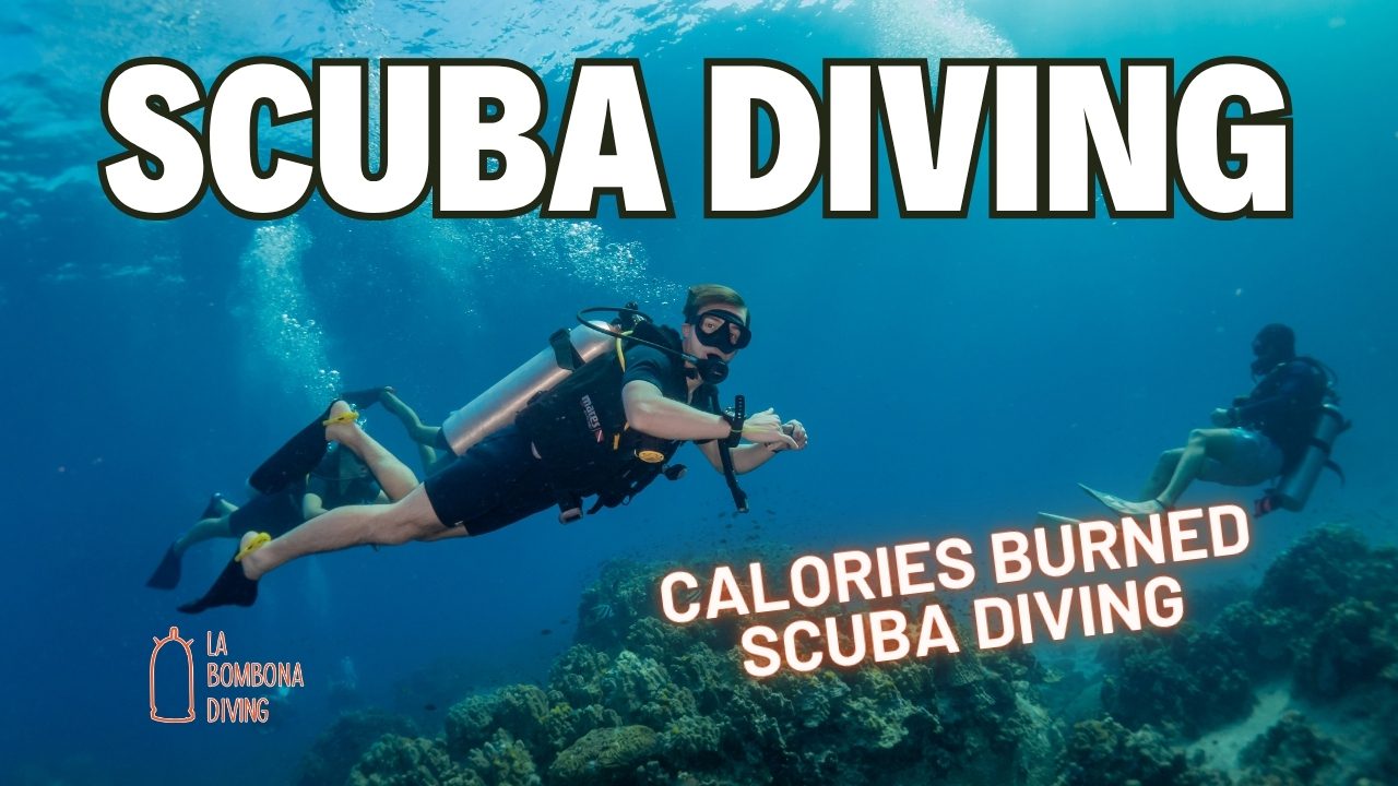 Calories Burned Scuba Diving